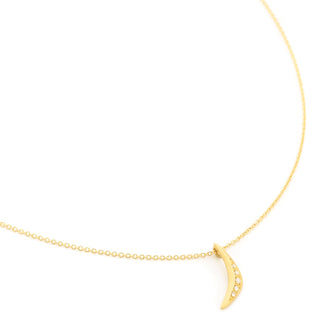Pave Crescent Necklace - Anne Sportun Fine Jewellery