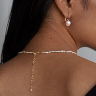 Cassiopeia Akoya Charm Earrings