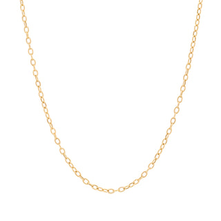 Medium Oval Link Chain