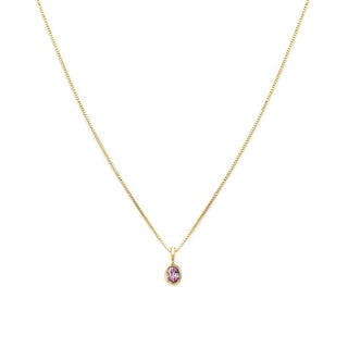 Petite Oval Necklace | 10k | Pink Sapphire