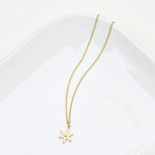 Diamond Center Star Necklace