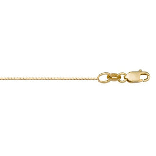 0.8mm Solid Box Link Chain | 10k Gold